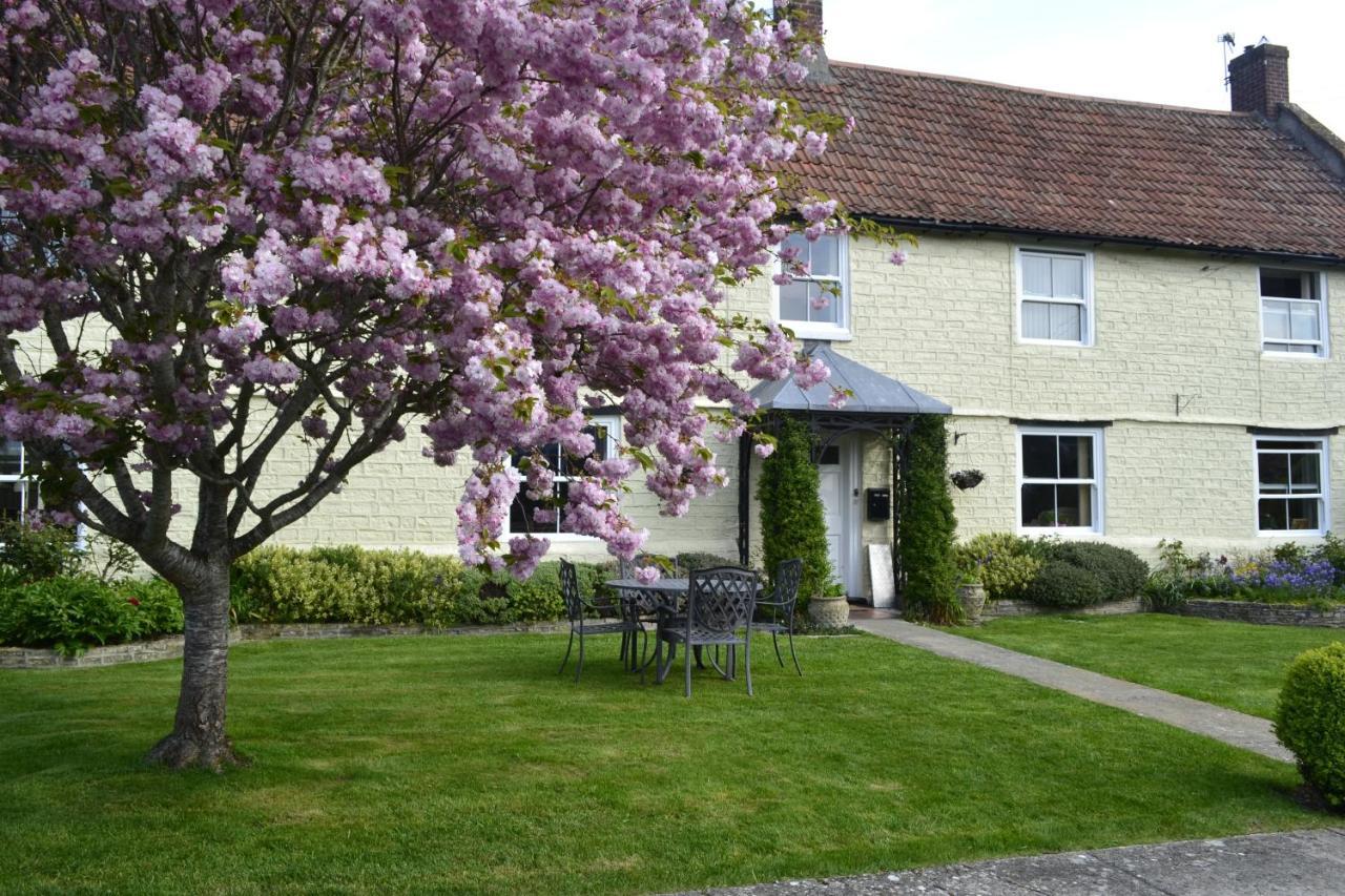 Ashcott The Lawns Tea Room And B&B المظهر الخارجي الصورة